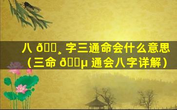 八 🌸 字三通命会什么意思（三命 🌵 通会八字详解）